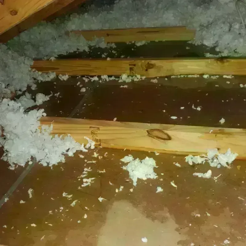 Attic Water Damage in Daniels County, MT