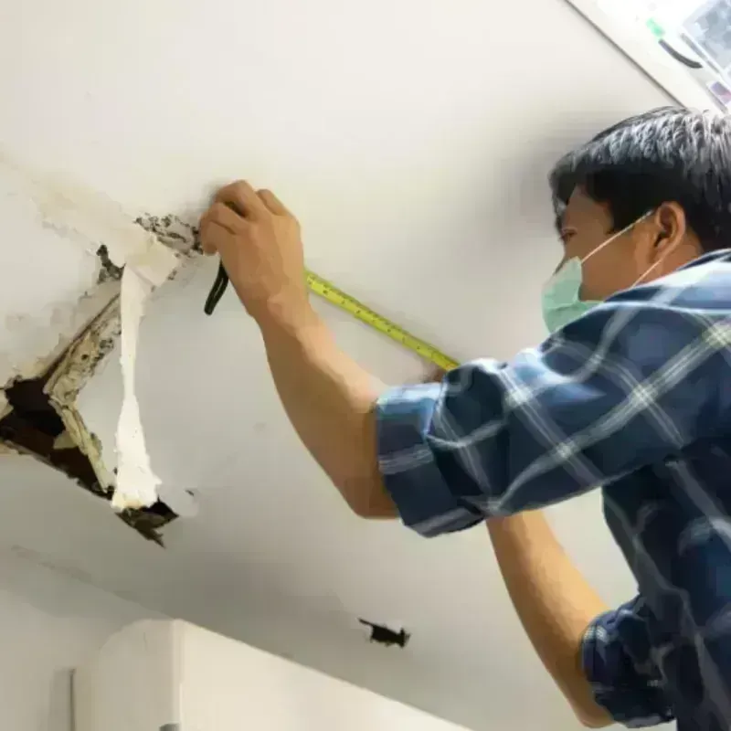 Ceiling And Wall Water Damage in Daniels County, MT