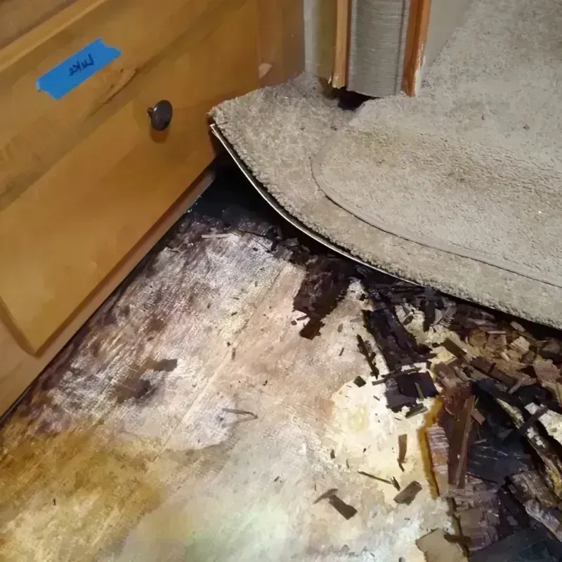 Wood Floor Water Damage in Daniels County, MT